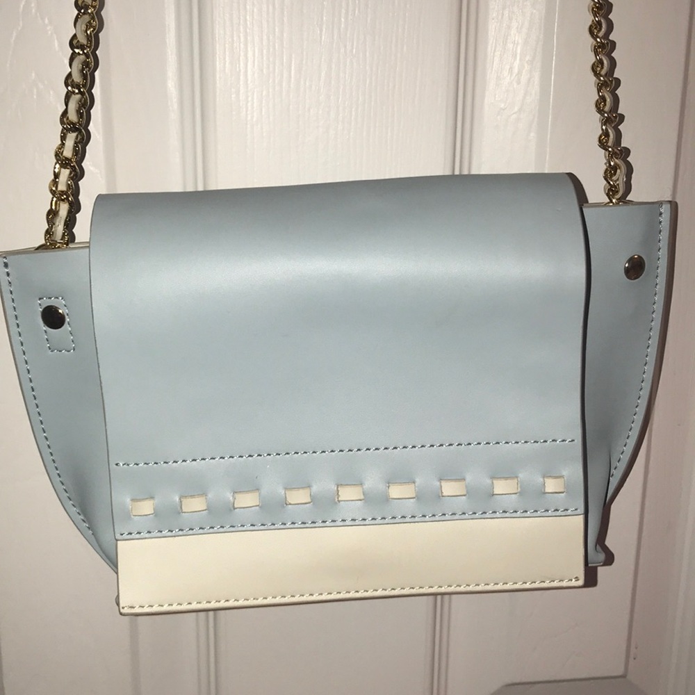 Badgley Mischka purse